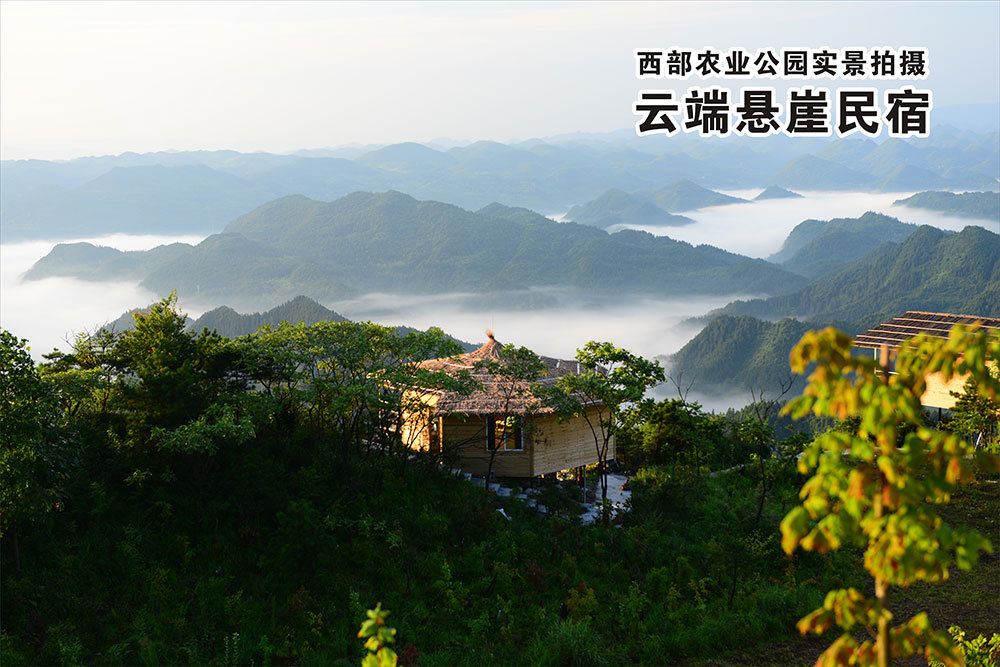 懸崖民(mín)宿夏景 懸崖民(mín)宿夏景