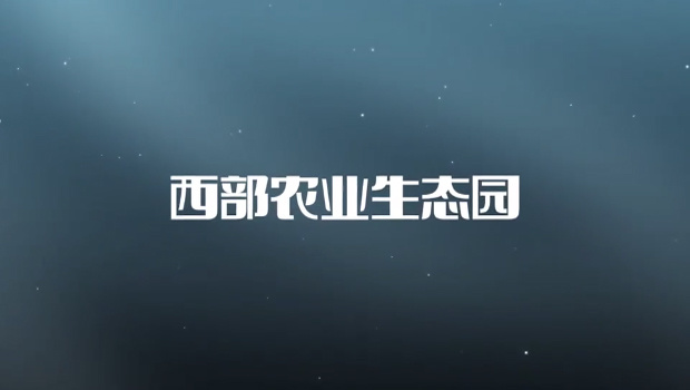 視(shì)頻(pín)标題 視(shì)頻(pín)标題