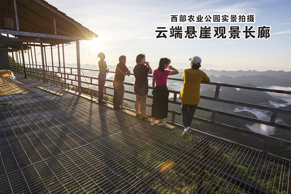 雲端懸崖觀景長(cháng)廊 雲端懸崖觀景長(cháng)廊