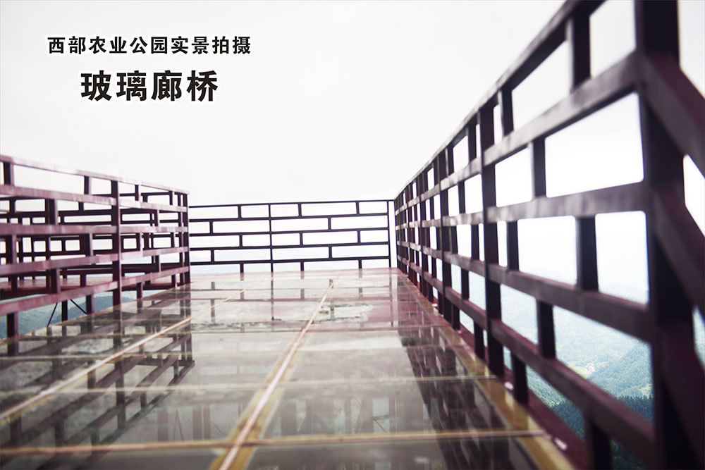 玻璃廊橋 玻璃廊橋